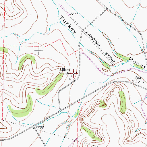 Topographic Map of Allison Ranch, TX