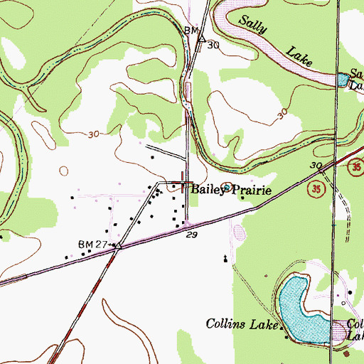 Topographic Map of Bailey Prairie, TX