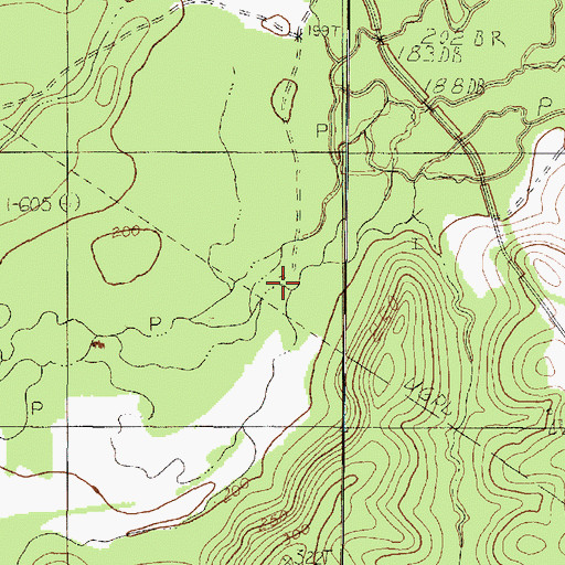 Topographic Map of Beech Branch, TX