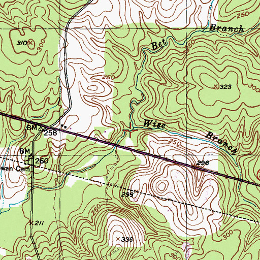 Topographic Map of Bet Branch, TX