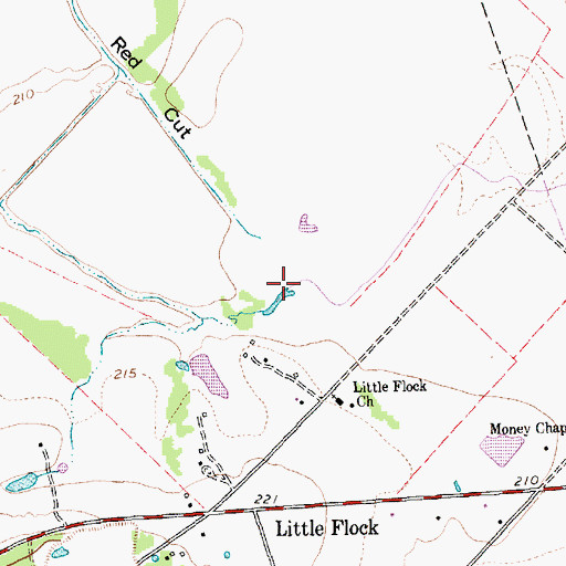 Topographic Map of Bethel Creek, TX