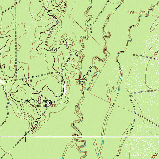 Topographic Map of Big Slough, TX