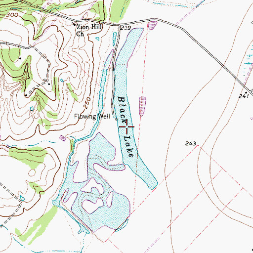 Topographic Map of Black Lake, TX