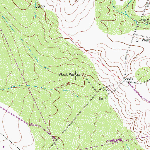 Topographic Map of Black Well, TX