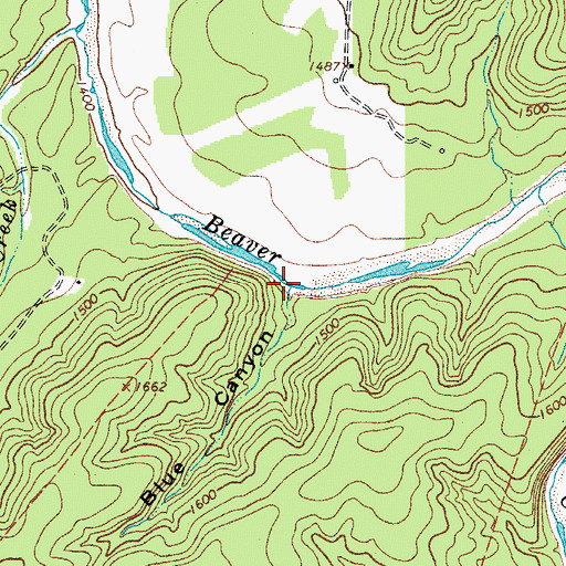 Topographic Map of Blue Canyon, TX