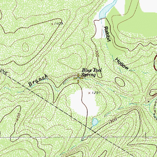 Topographic Map of Blue Pool Spring, TX