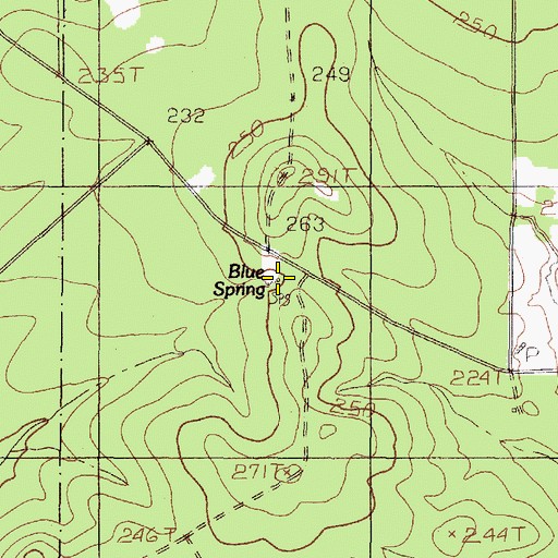 Topographic Map of Blue Spring, TX