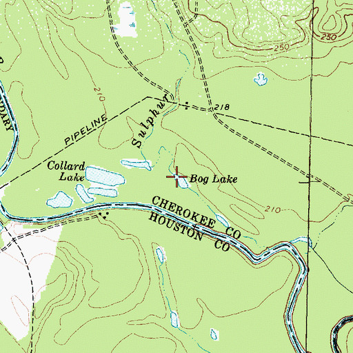 Topographic Map of Bog Lake, TX