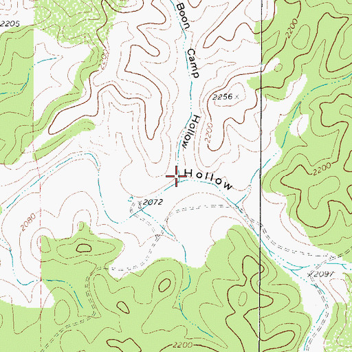 Topographic Map of Boon Camp Hollow, TX