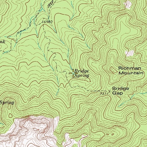 Topographic Map of Bridge Spring, TX