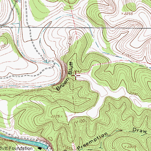 Topographic Map of Brown Bluff, TX