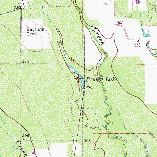 Topographic Map of Brown Lake, TX