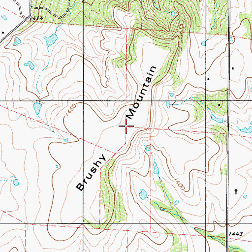 Topographic Map of Brushy Mountain, TX