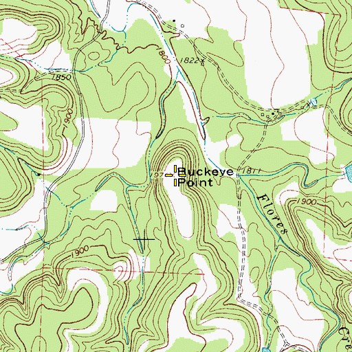 Topographic Map of Buckeye Point, TX