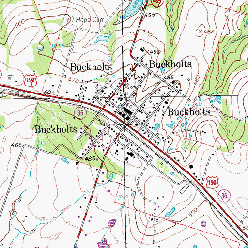 Topographic Map of Buckholts, TX