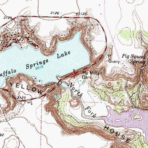 Topographic Map of Buffalo Springs Lake, TX