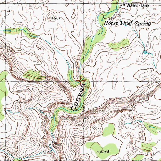 Topographic Map of Bull Canyon, TX