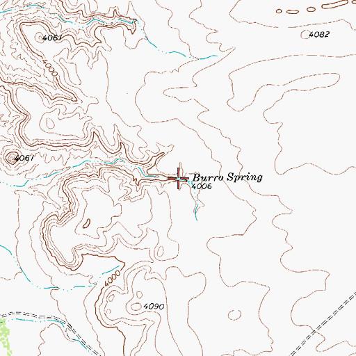 Topographic Map of Burro Spring, TX