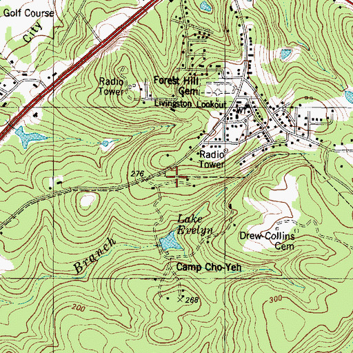 Topographic Map of Camp Cho Yen, TX