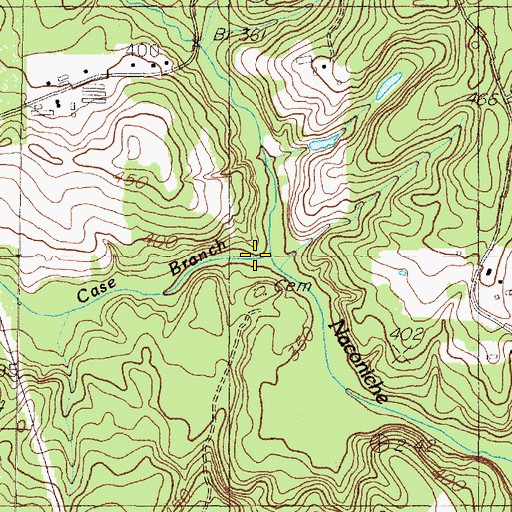 Topographic Map of Case Branch, TX