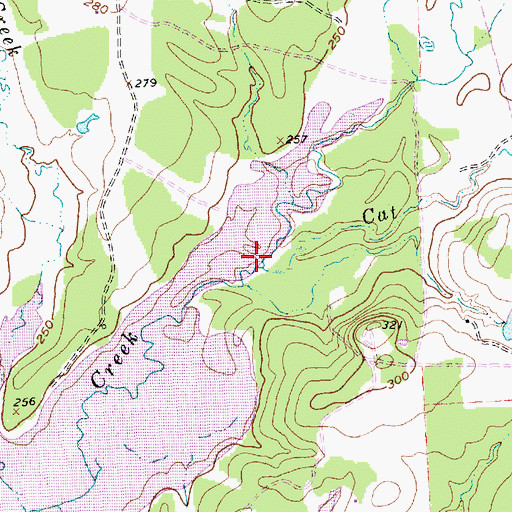 Topographic Map of Cat Creek, TX