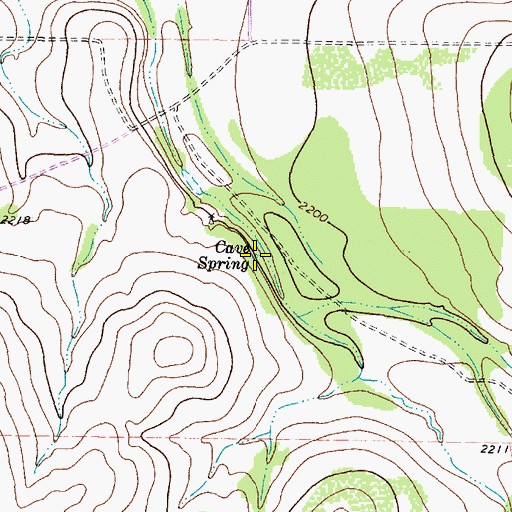 Topographic Map of Cave Spring, TX