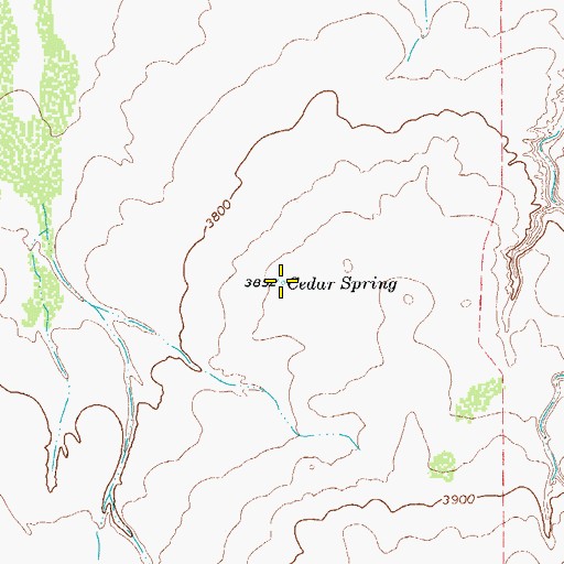 Topographic Map of Cedar Spring, TX
