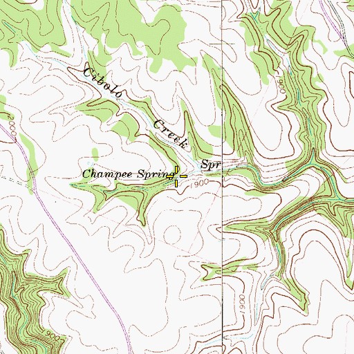 Topographic Map of Champee Spring, TX