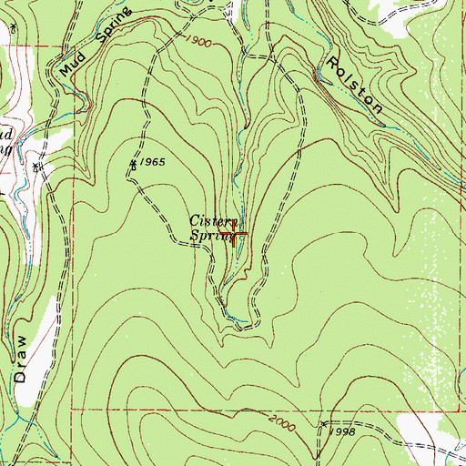 Topographic Map of Cistern Spring, TX