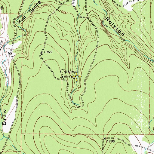Topographic Map of Cistern Spring, TX