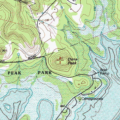Topographic Map of Dana Peak, TX