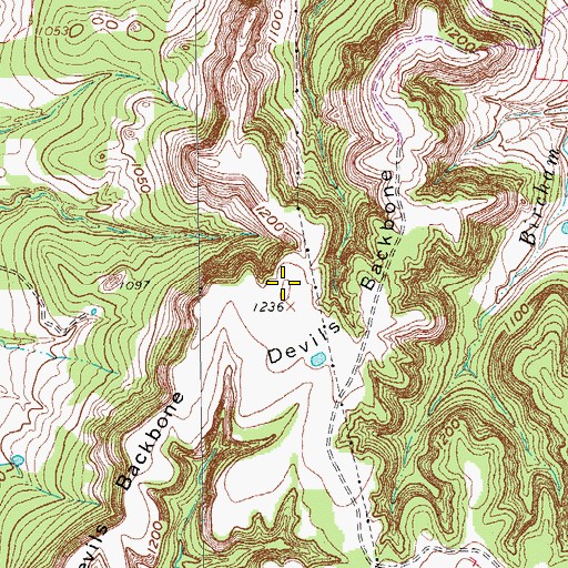Topographic Map of Devils Backbone, TX