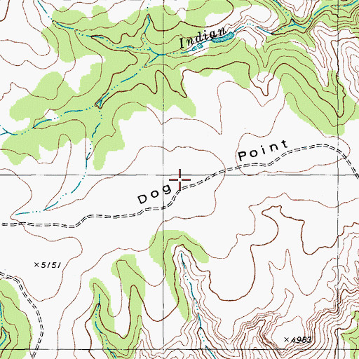 Topographic Map of Dog Point, TX