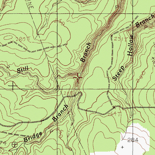Topographic Map of Double Bridge Branch, TX