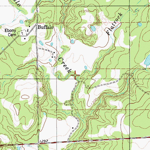 Topographic Map of Flatrock Branch, TX