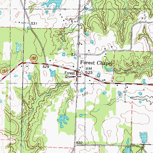 Topographic Map of Forest Chapel, TX