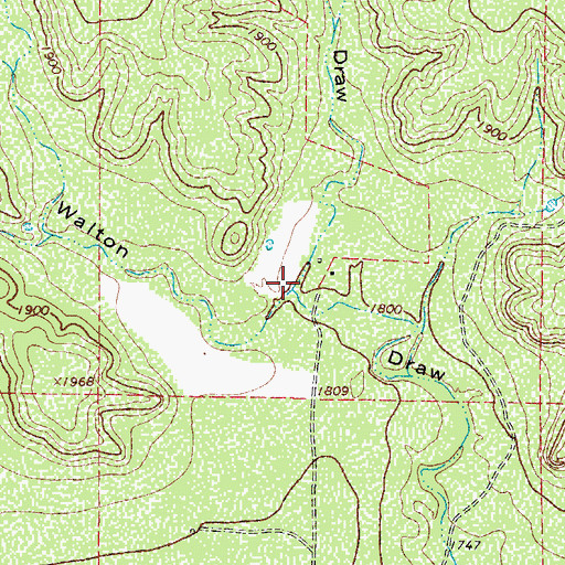 Topographic Map of Frog Springs Draw, TX