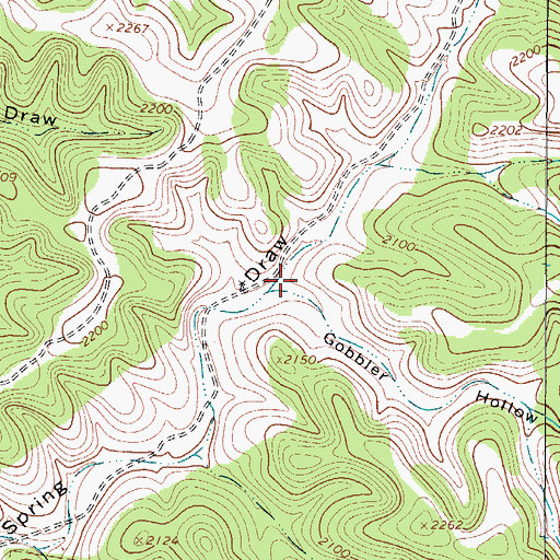 Topographic Map of Gobbler Hollow, TX