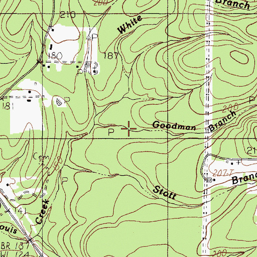 Topographic Map of Goodman Branch, TX