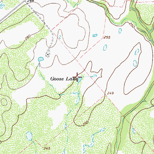 Topographic Map of Goose Lake, TX