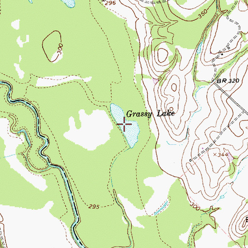 Topographic Map of Grassy Lake, TX