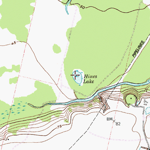 Topographic Map of Hines Lake, TX