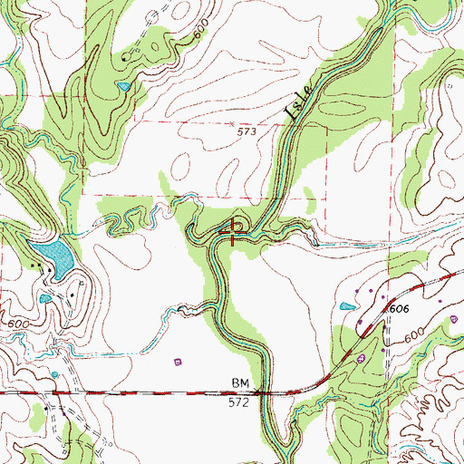 Topographic Map of Johnson Branch, TX