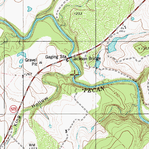 Topographic Map of King Hollow, TX