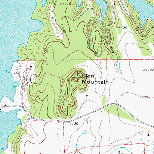 Topographic Map of Lion Mountain, TX
