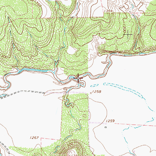 Topographic Map of Louse Run, TX