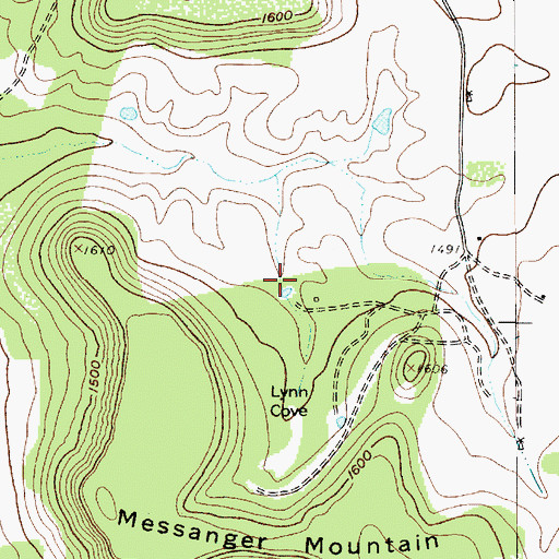 Topographic Map of Lynn Cove, TX
