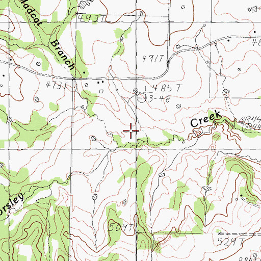 Topographic Map of Madcat Branch, TX