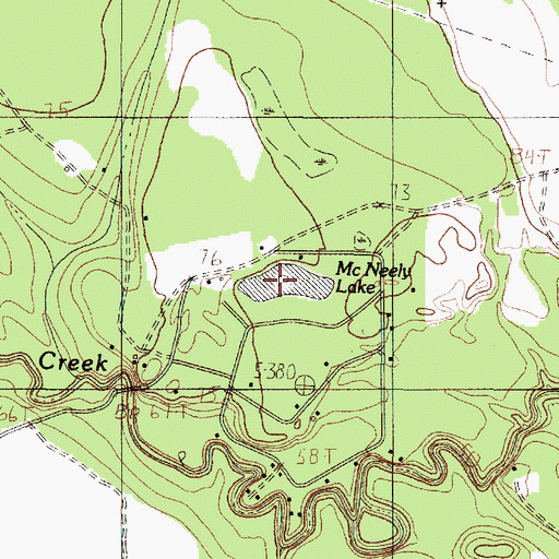 Topographic Map of McNeely Lake, TX