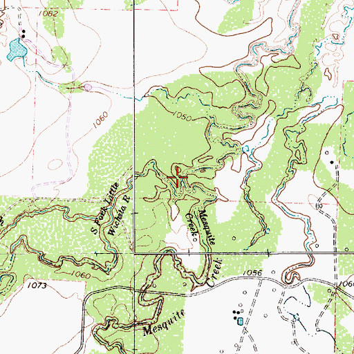 Topographic Map of Mesquite Creek, TX